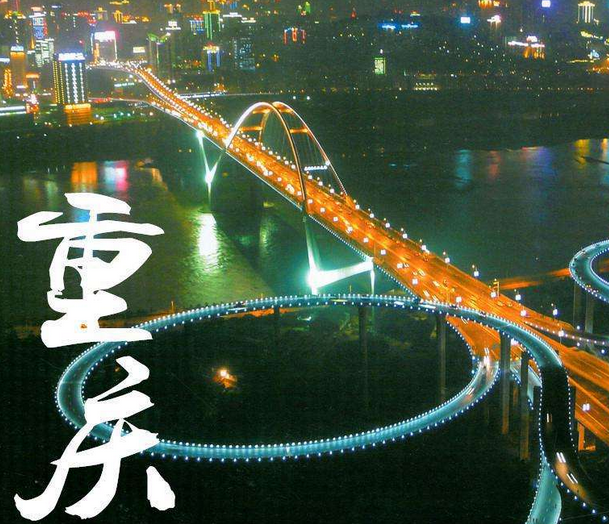 协会2015年上半年常务理事会在重庆召开