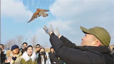 强化法律责任 保护野生动物（法治头条）