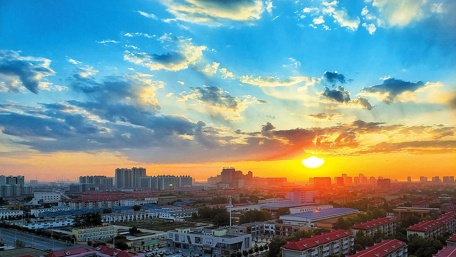 油 城 晨 光