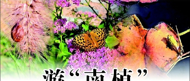 游“南植”