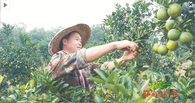 发挥优势、因地制宜，做好产业发展大文章，带动职工群众增收致富 产业活了 职工乐了