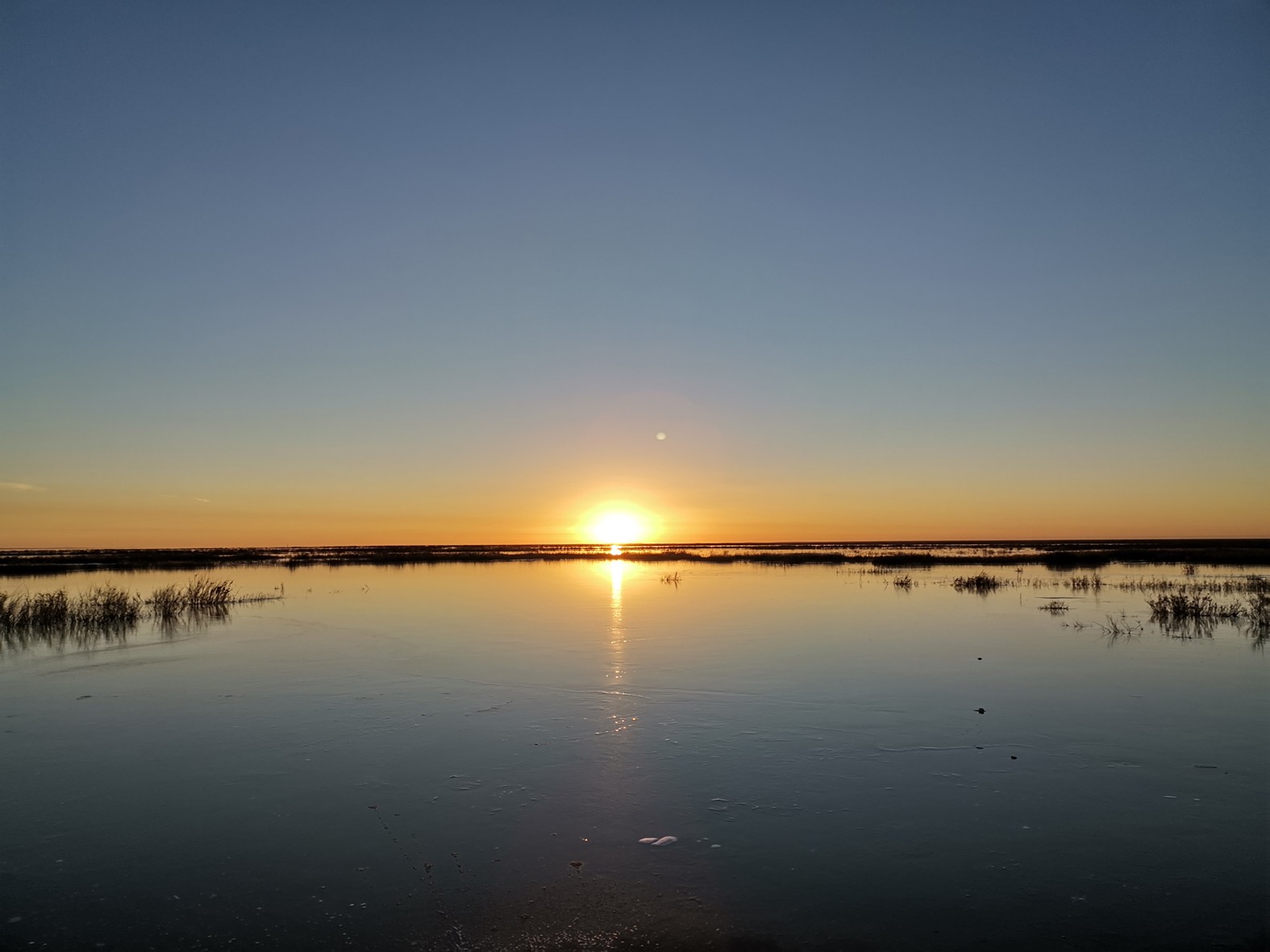 《青海鸦湖·朝阳》