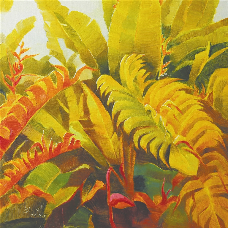 因美而绽放的热带植物 ——周铁利与《生命·阳光》系列