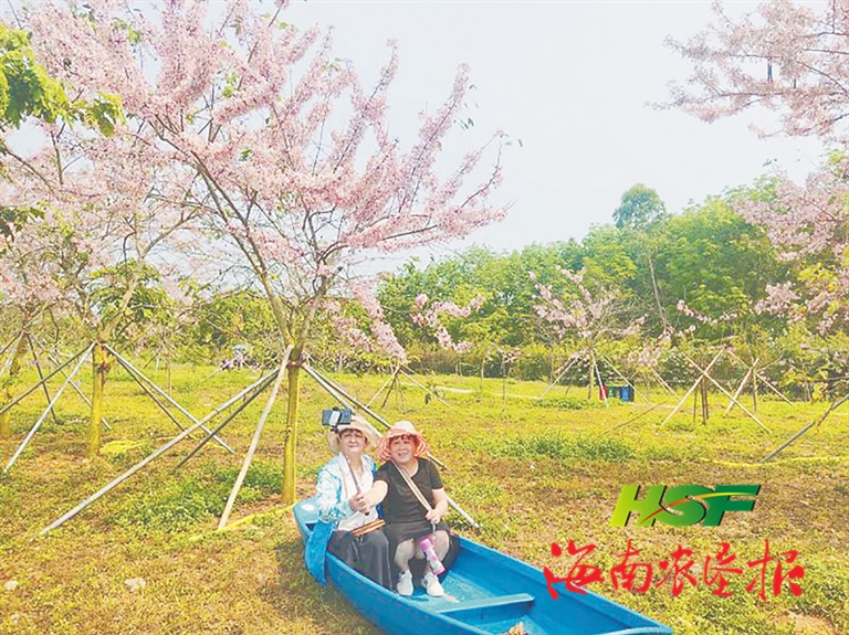 清明假期垦区旅游再现小高峰 赏花 踏青 寻红色