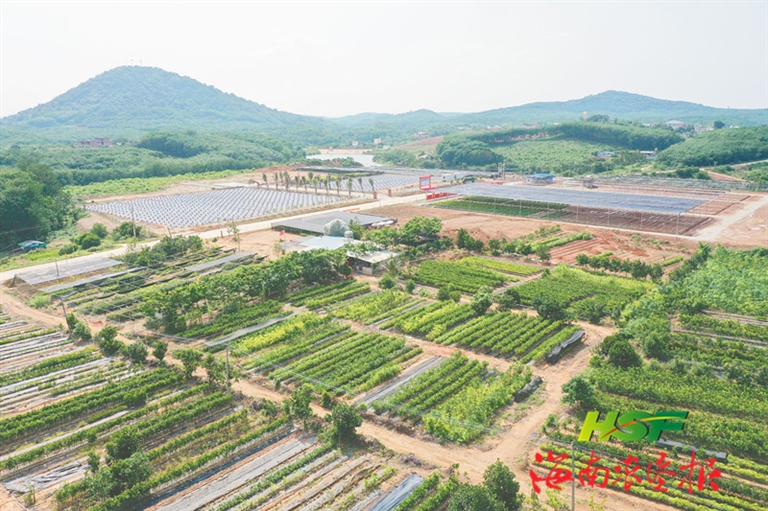注入科研力量 助推产业升级