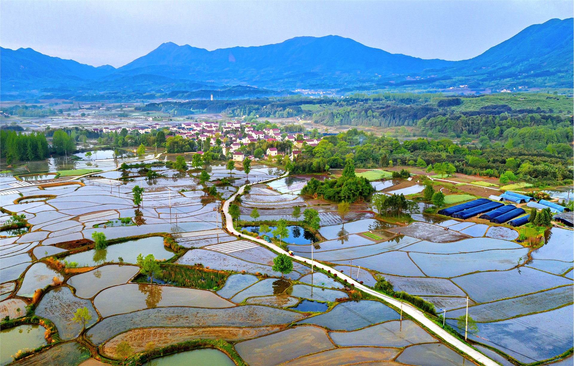 《青山绿水》