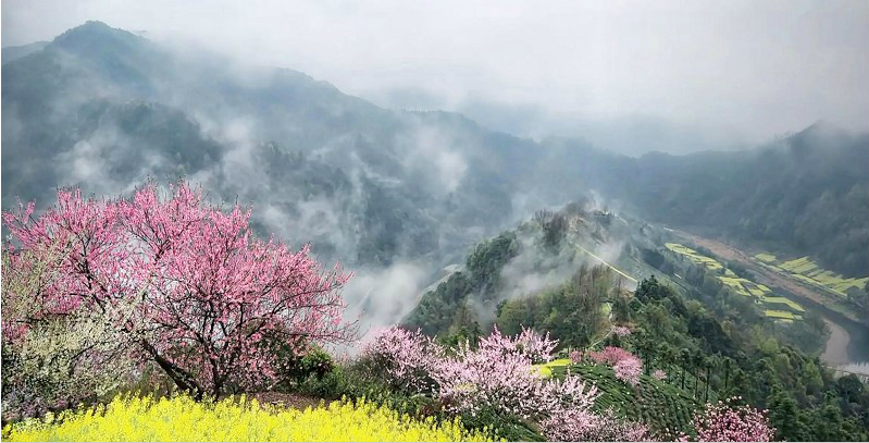 春天，寻一方土地播种