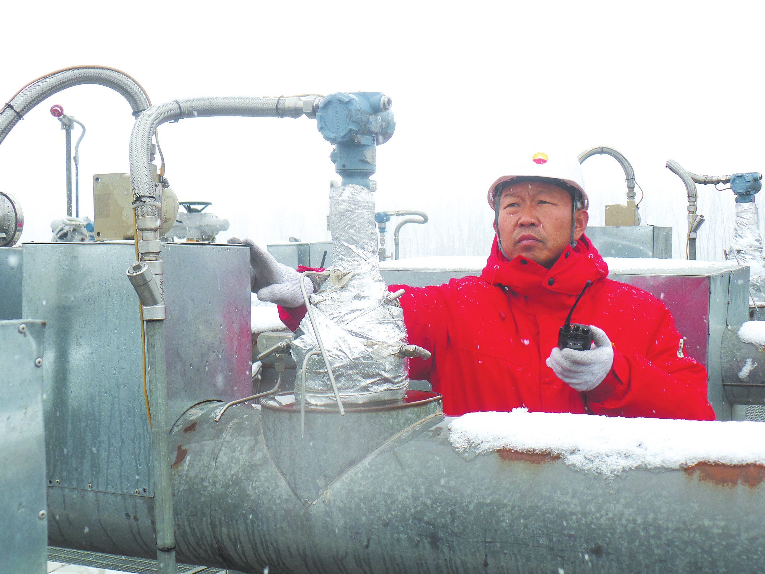 以雪为令提气保冬供 