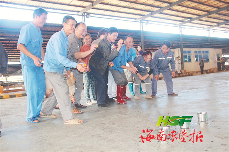 庆元旦 迎新春
