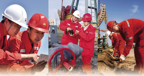 精耕细作强根基创新驱动增收益