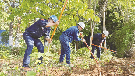 书写新时代雷锋故事新篇章