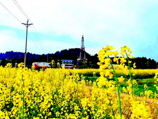 3000千瓦“绿巨人”上线连云港港迎来全国最大功率纯电动机车